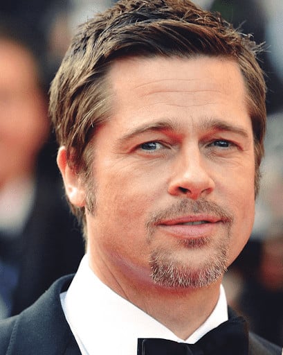 Brad Pitt Stubble Goatee