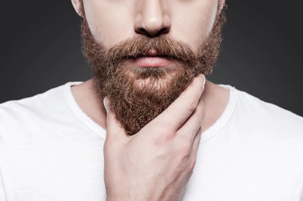 Beard growth guide