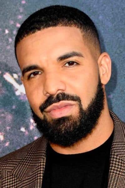 Drake Celebrity Haircut
