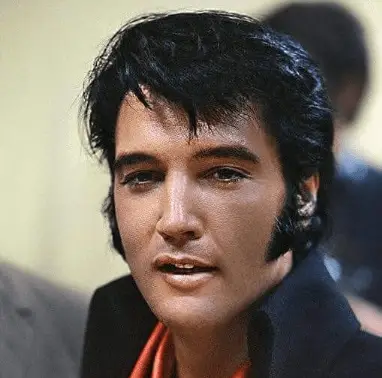 Elvis Presley Sideburns