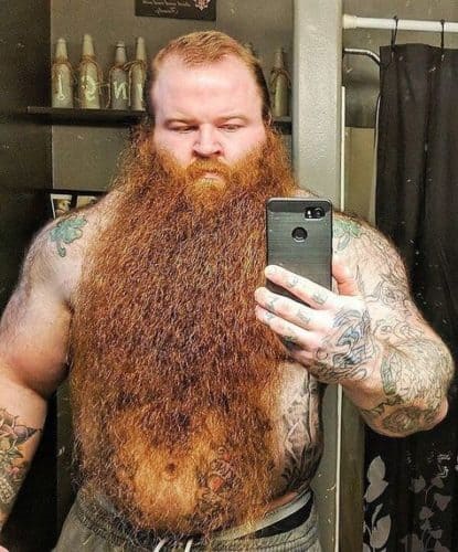 Glorious Long Red Beard