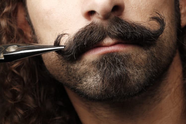 Handlebar Mustache Curling and grooming