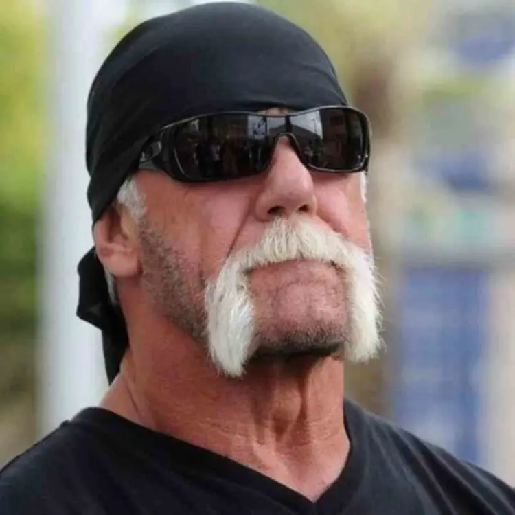 Hulk Hogan Horseshoe Mustache