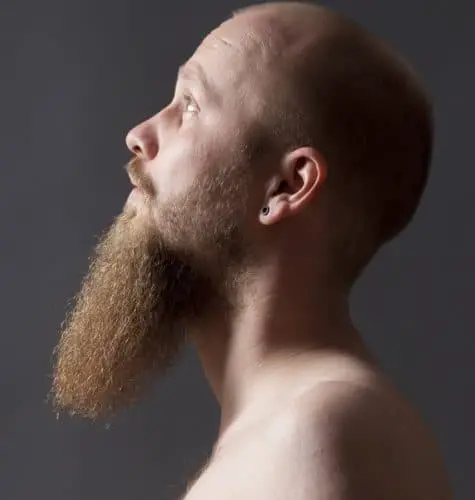 Long Goatee Beard