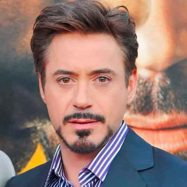 Robert Downey Jr. Anchor Beard - round face short beard styles