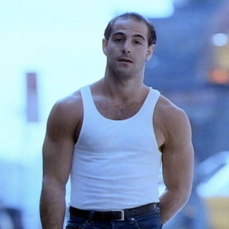 Hot Stanley Tucci with Hair