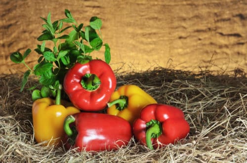 Eat Sweet Peppers for Hair Growth
