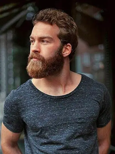 square beard style square beard