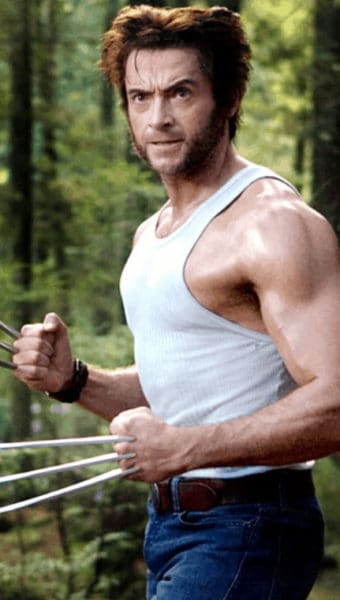 Traditional Wolverine Beard Classic Wolverine Beard