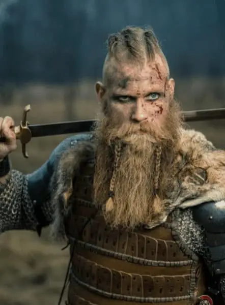 Viking Long Braided Beard