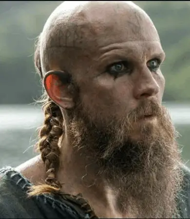 Viking Bushy Beard