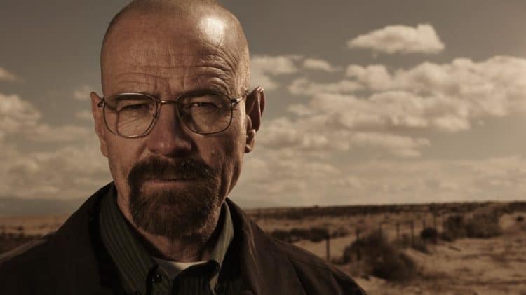 Heisenberg Beard with bald head Played by Bryan Cranston, Walter White sports the Heisenberg Beard with a bald head on the hit show Breaking Bad on AMC